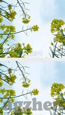91麻豆不见星空槿晓婷-寻找星空下的独特魅力——麻豆槿晓婷的闪耀时刻