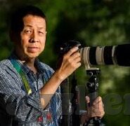 大象传媒国产线路-探索大象传媒国产线路的独特魅力与文化价值