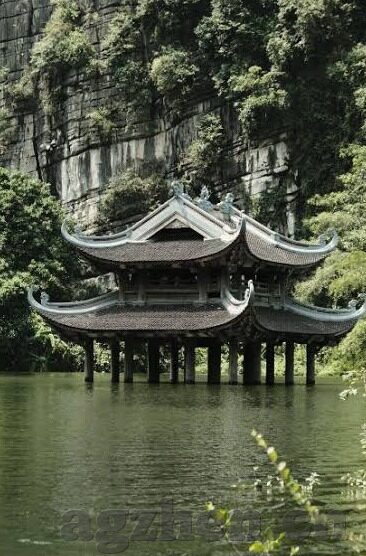 果冻传媒大象传媒-媒体新视角，果冻传媒与大象传媒的创意碰撞与市场影响