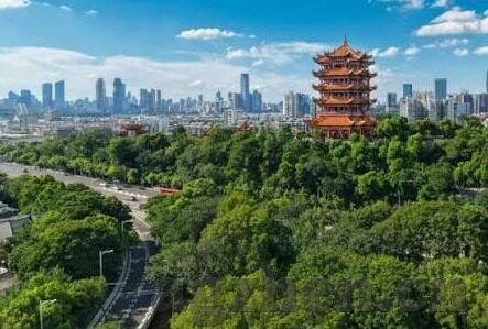 含羞草麻豆传媒-自然与人性的交融 —— 含羞草的奥妙与麻豆传媒的启示
