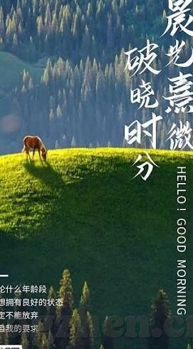 麻豆app无限次破解版-揭秘麻豆APP的无限次破解版现象，是便利还是陷阱？