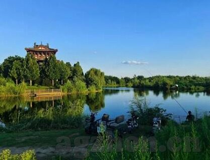 麻豆传媒影片-麻豆传媒影片的回溯与反思
