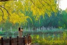 日本一区二区三区-探索日本动漫文化的多元魅力，一区、二区、三区的独特视角