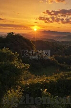 糖心柯德官网-探索糖心柯德官网的奇妙之旅，创意与科技的完美融合