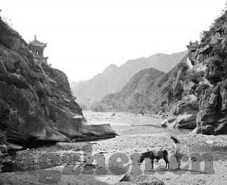 一区二区国产-国产之光，一区二区的发展与影响